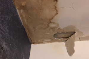 Roof Leaking? What to Do