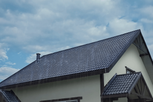 What Is a Shed Roof?
