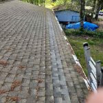 Sectional Shingle Row Replacement