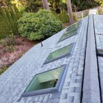 Skylight Trio Repair